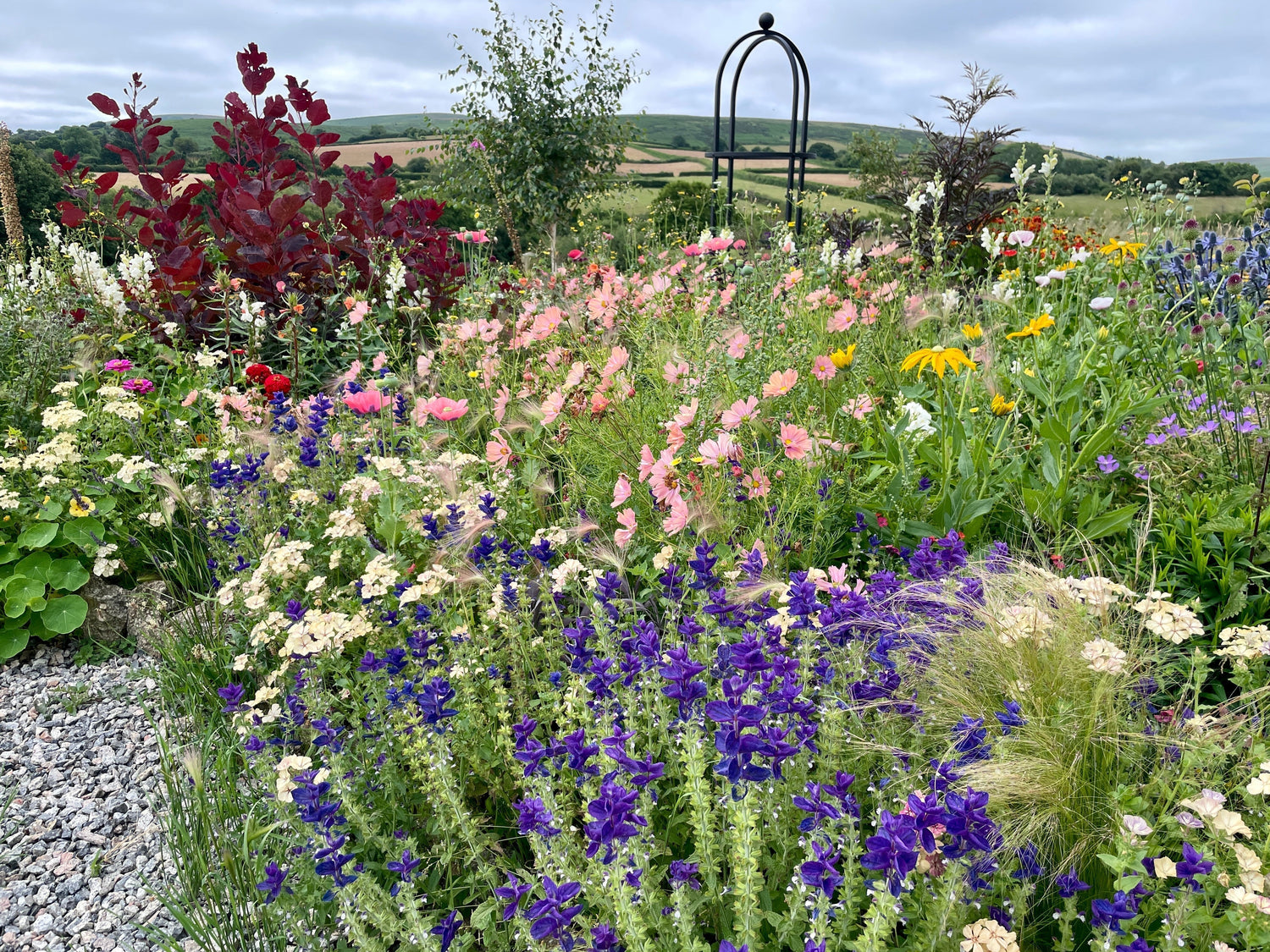 Mid-summer on Dartmoor