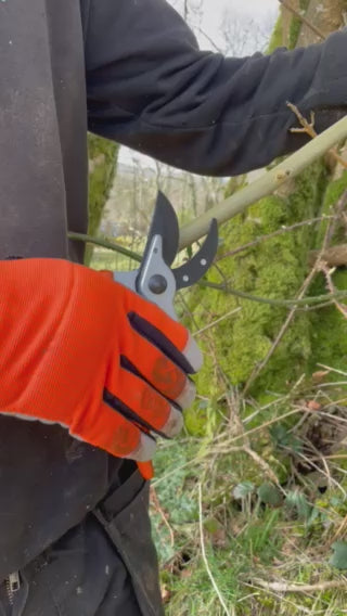 Donkey Works Bypass Secateurs 8&quot; with Holster